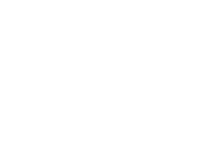 MAE Logo White MAE Logo - Mustang Advanced Engineering Dynamometers